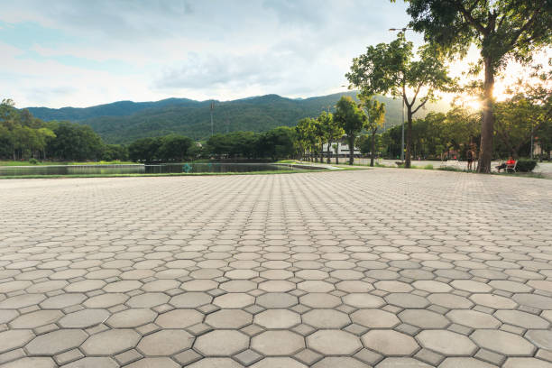 Best Local Driveway Pavers  in West Richland, WA